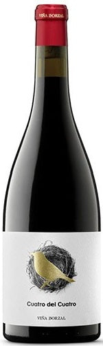 Viña Zorzal Cuatro del Cuatro (Graciano) 2020 on Sale