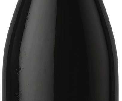 Granville Wine Co. HOLSTIAN PINOT NOIR 2021 For Cheap