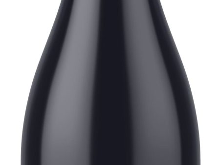 The Joy Fantastic Joy Fantastic Syrah 2021 Online now