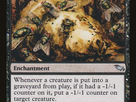 Blowfly Infestation [Shadowmoor] Online now