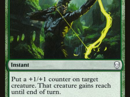 Arbor Armament [Dominaria] Sale