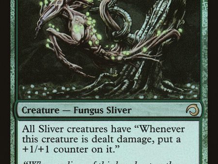 Fungus Sliver [Premium Deck Series: Slivers] Cheap