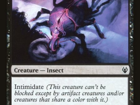 Brain Weevil [Duel Decks: Izzet vs. Golgari] Online now