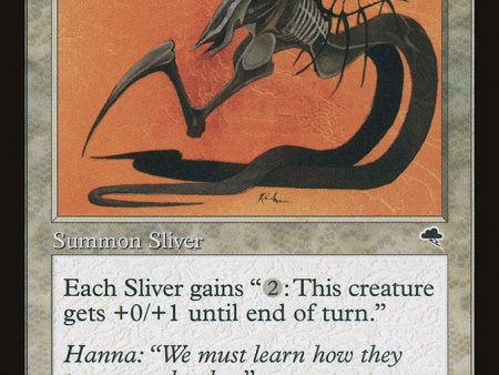 Armor Sliver [Tempest] For Sale