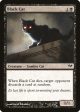 Black Cat [Dark Ascension] Cheap