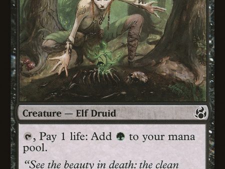 Blightsoil Druid [Morningtide] Online now