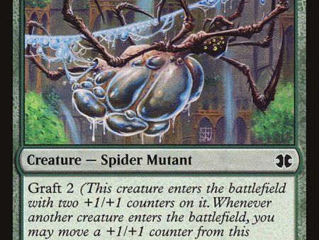 Aquastrand Spider [Modern Masters 2015] on Sale