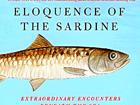 Eloquence Of The Sardine: Extraordinary Encounters Beneath The Sea Online Sale