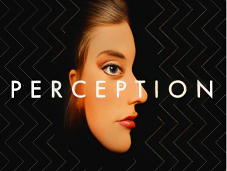 Perception: How Our Bodies Shape Our Minds Fashion