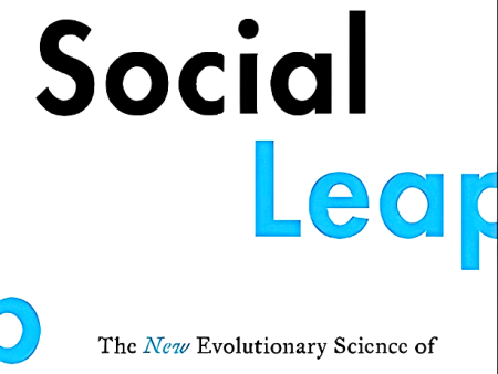 The Social Leap Online now