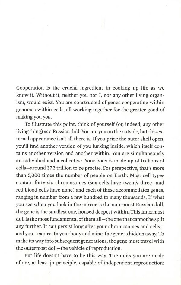 The Social Instinct: How Cooperation Shaped The World Hot on Sale