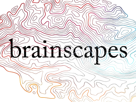 Brainscapes Online Hot Sale